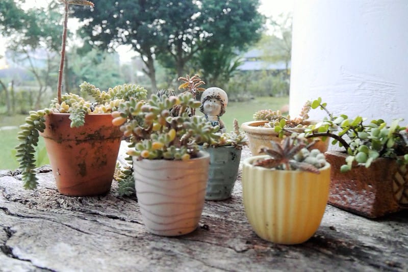 南投民宿x埔里民宿x微笑58