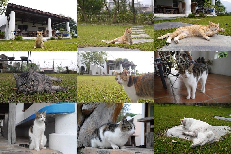 南投民宿x埔里民宿x微笑58