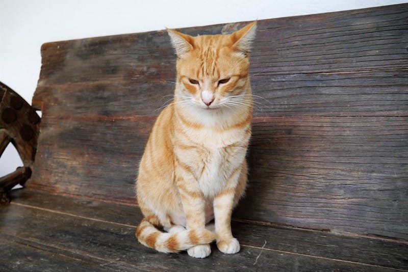 南投民宿x埔里民宿x微笑58