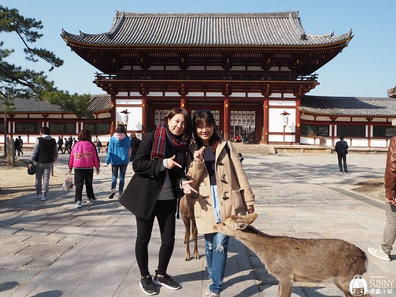 日本上網WIFI機推薦|GLOBAL WIFI日本 4G SOFTBANK 303ZT 吃到飽