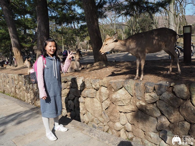 日本上網WIFI機推薦|GLOBAL WIFI日本 4G SOFTBANK 303ZT 吃到飽