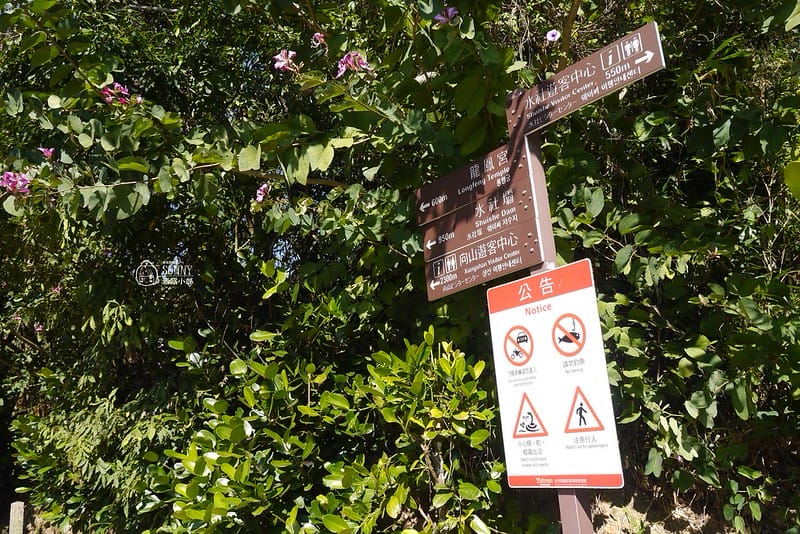 日月潭熱門景點－到＜日月潭－龍鳳宮月老廟＞拜月老擺脫單身