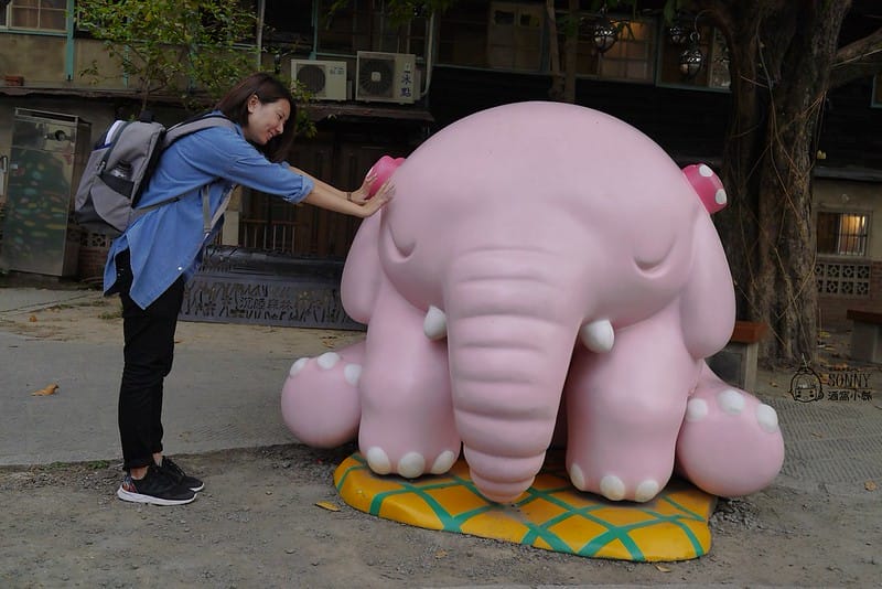 嘉義景點-沉睡森林(拍照/打卡)