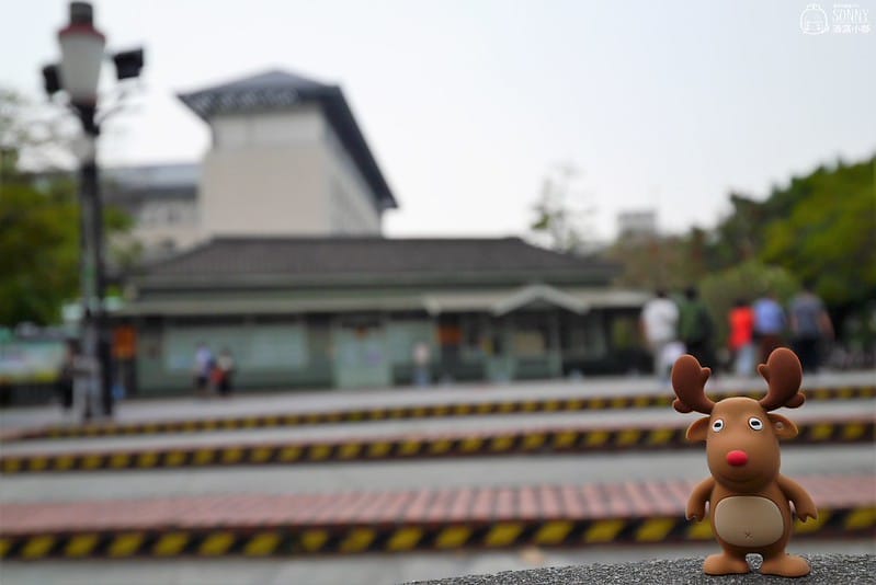 嘉義景點-沉睡森林(拍照/打卡)