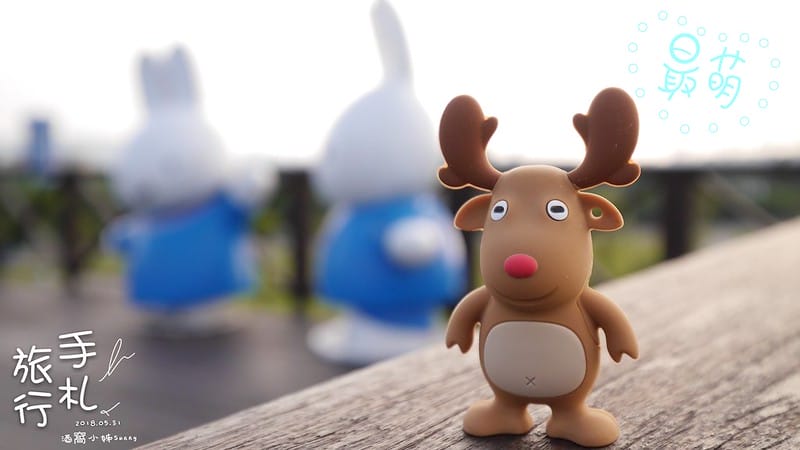 酒窩小姊旅行日記（新北市米菲公園）