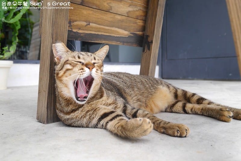 台南早午餐 Sun’s Great