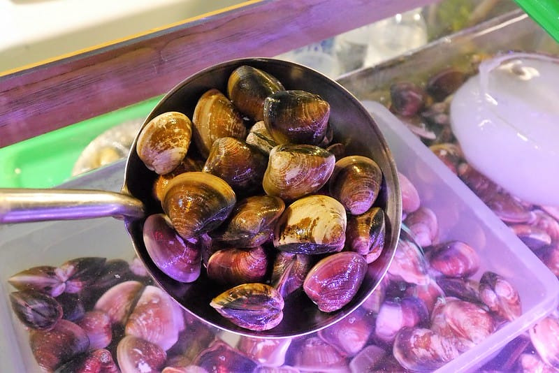 嘉義文化夜市美食｜蜊正站好（鮮烤蛤蜊）