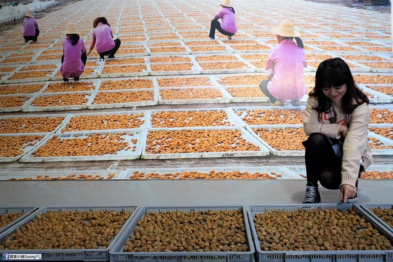 嘉義景點 梅山景點 梅問屋 觀光工廠