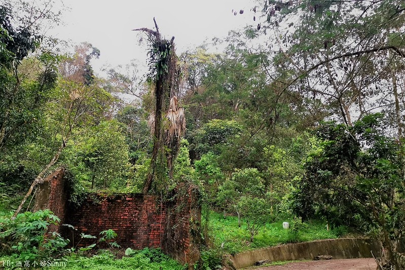 用手機也能拍出螢火蟲之第一次賞螢拍螢就上手