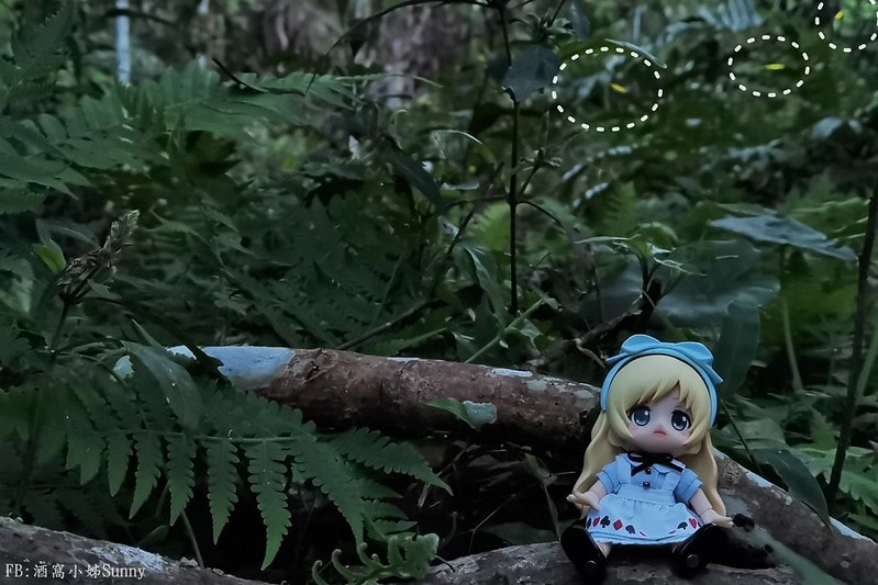 用手機也能拍出螢火蟲之第一次賞螢拍螢就上手