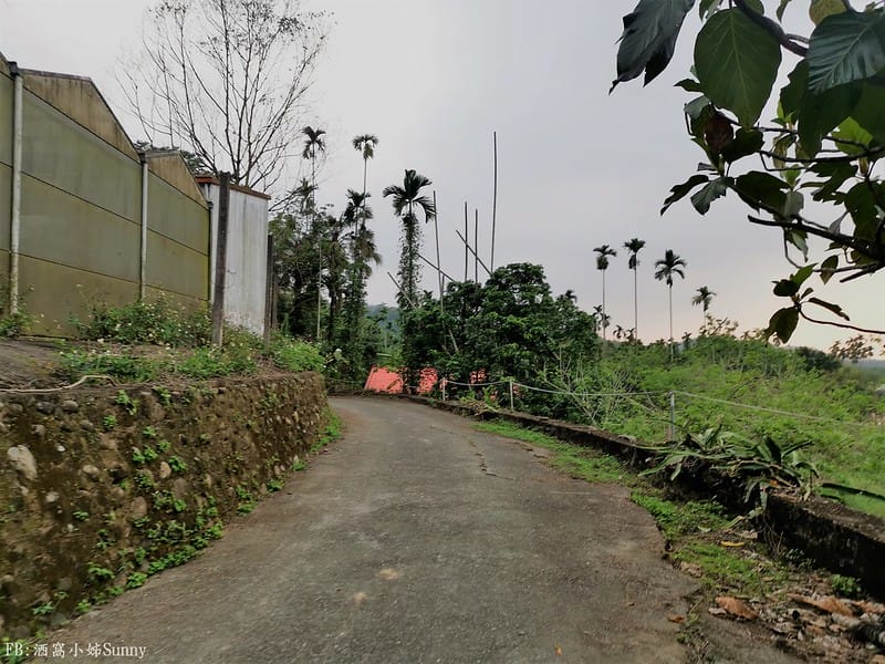 用手機也能拍出螢火蟲之第一次賞螢拍螢就上手