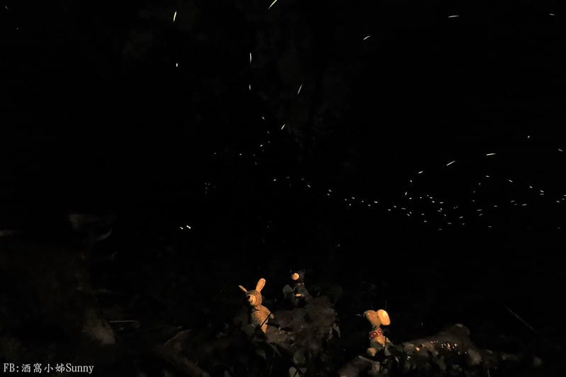 用手機也能拍出螢火蟲之第一次賞螢拍螢就上手