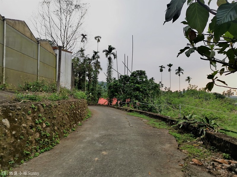 用手機也能拍出螢火蟲之第一次賞螢拍螢就上手