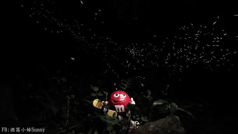 用手機也能拍出螢火蟲之第一次賞螢拍螢就上手