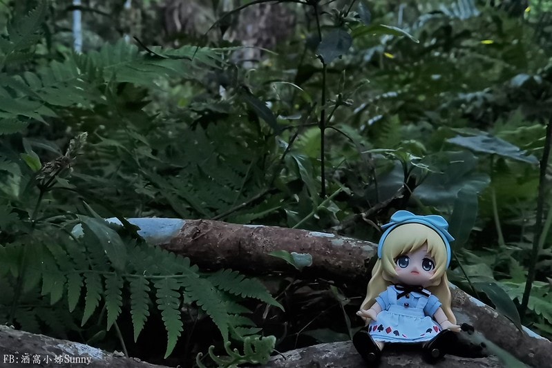 用手機也能拍出螢火蟲之第一次賞螢拍螢就上手