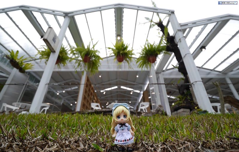 嘉義縣一日遊x太平一日遊x空氣圖書館x太平老街x太平雲梯