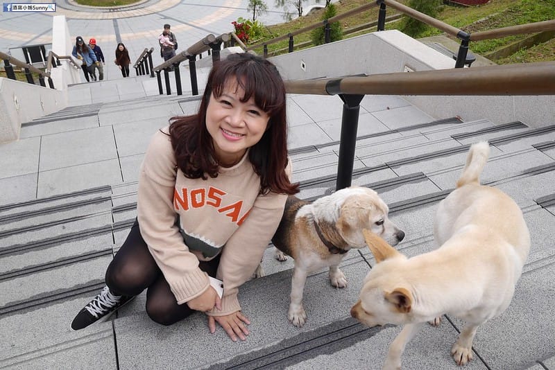 嘉義縣一日遊x太平一日遊x空氣圖書館x太平老街x太平雲梯