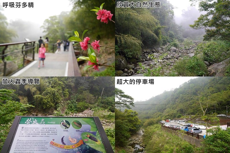 圓潭自然生態園區20190413