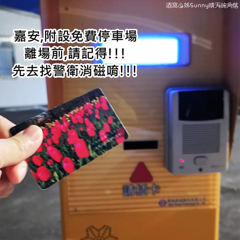 嘉義產檢x嘉安婦幼診所x4D高層次超音波檢查