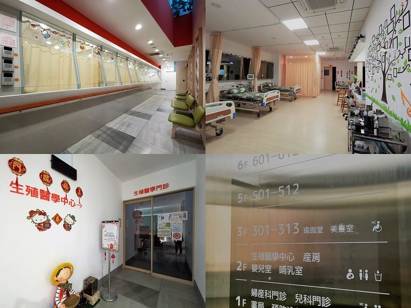 嘉義產檢x嘉安婦幼診所x4D高層次超音波檢查