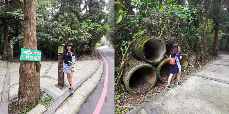 2019奮起湖景點/美食/一日遊/二日遊/嘉義賞螢秘境