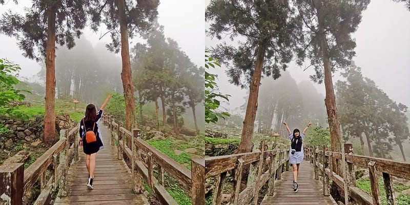 2019奮起湖景點/美食/一日遊/二日遊/嘉義賞螢秘境