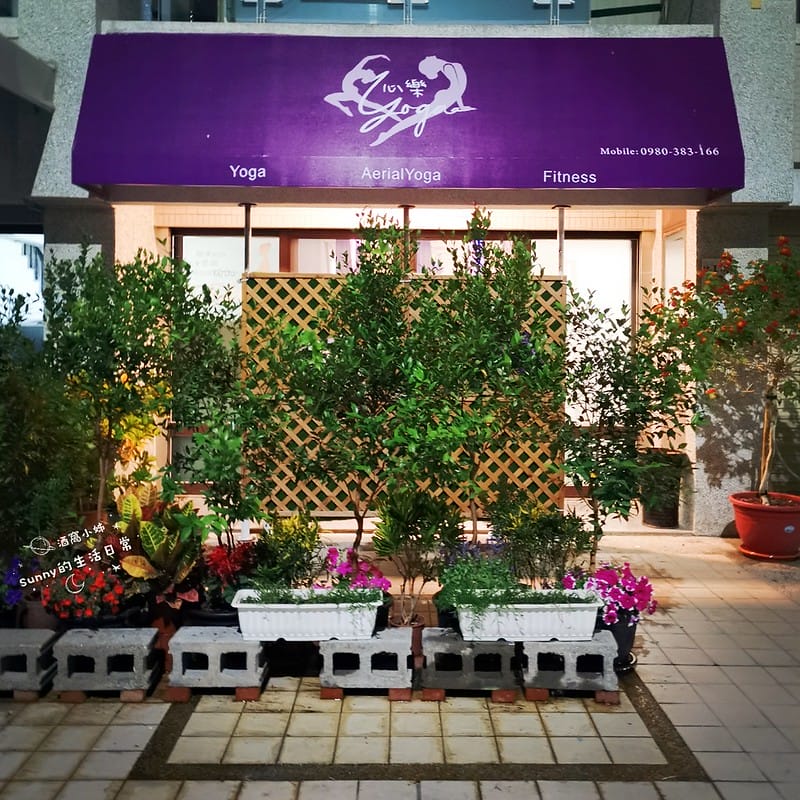 太保瑜珈/朴子瑜珈/空中瑜珈/蹦極有氧/心樂瑜珈太保教室