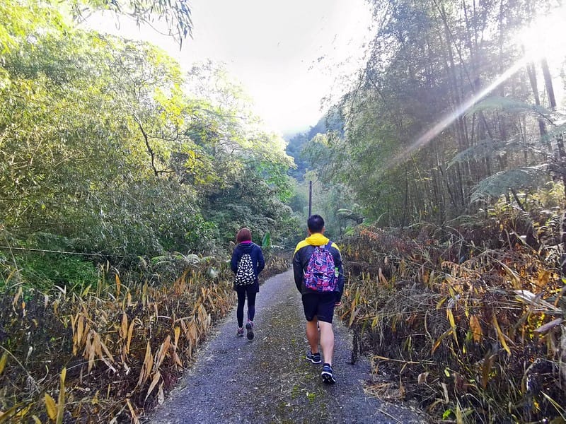 好物開箱｜居家必備清單之一，照明神器 aibo人體感應燈可以取代手電筒(磁吸+usb充電好方便)露營/家里有老人,小孩,怕黑者必備