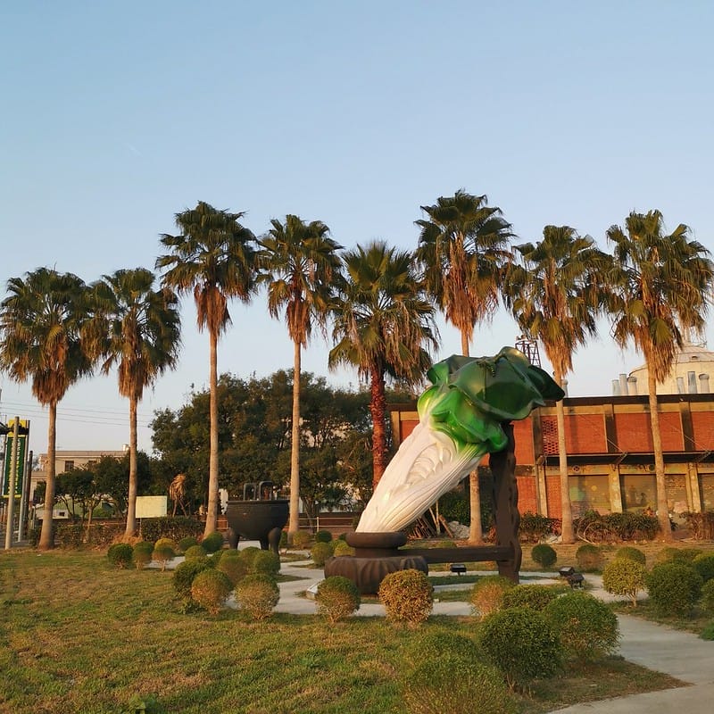 嘉義縣追劇景點｜台劇「用九柑仔店」拍攝景點/劇中楊俊龍之爺爺的家(張軒睿 飾)/慶和柑仔店/用九商店