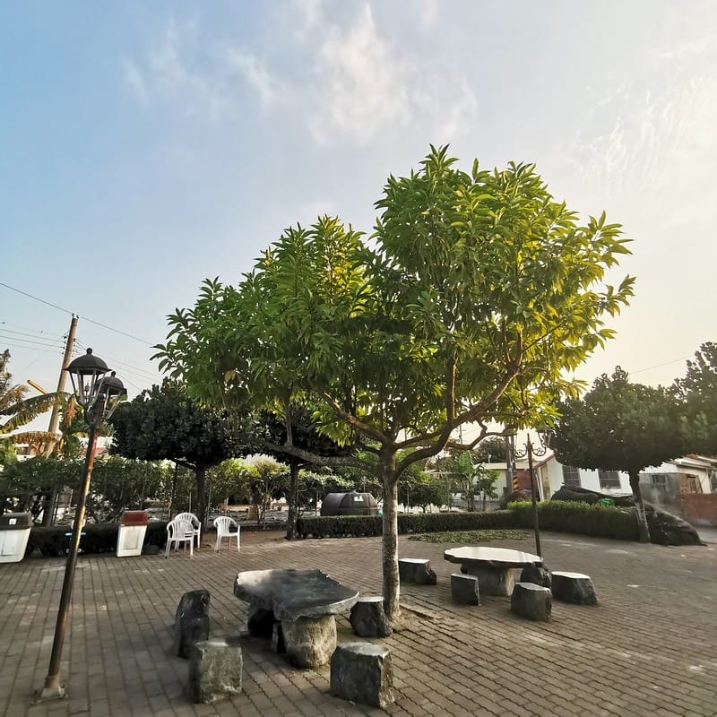 嘉義縣追劇景點｜台劇「用九柑仔店」拍攝景點/劇中楊俊龍之爺爺的家(張軒睿 飾)/慶和柑仔店/用九商店