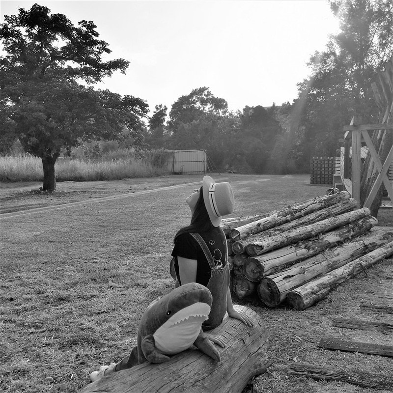 嘉義熱門IG打卡景點-昭和J18/嘉義史蹟資料館,嘉義製材所