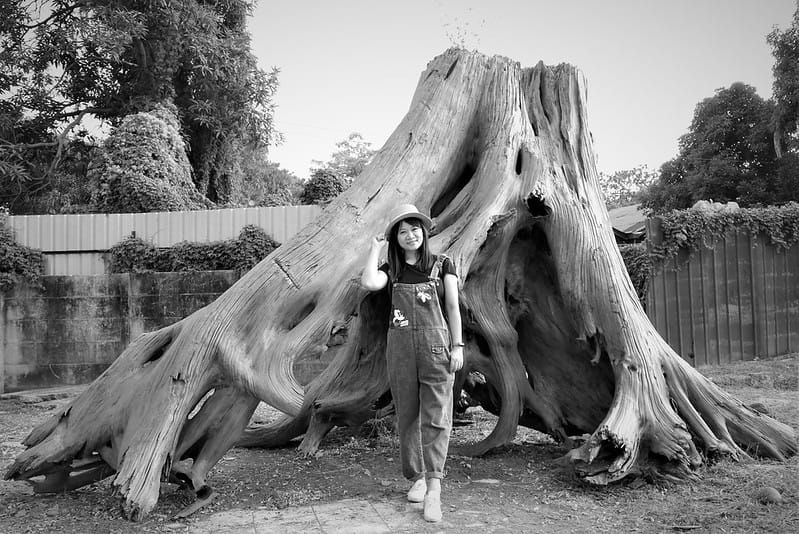 嘉義熱門IG打卡景點-昭和J18/嘉義史蹟資料館,嘉義製材所