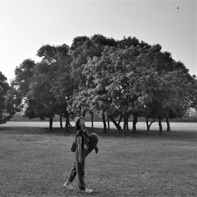 嘉義熱門IG打卡景點-昭和J18/嘉義史蹟資料館,嘉義製材所