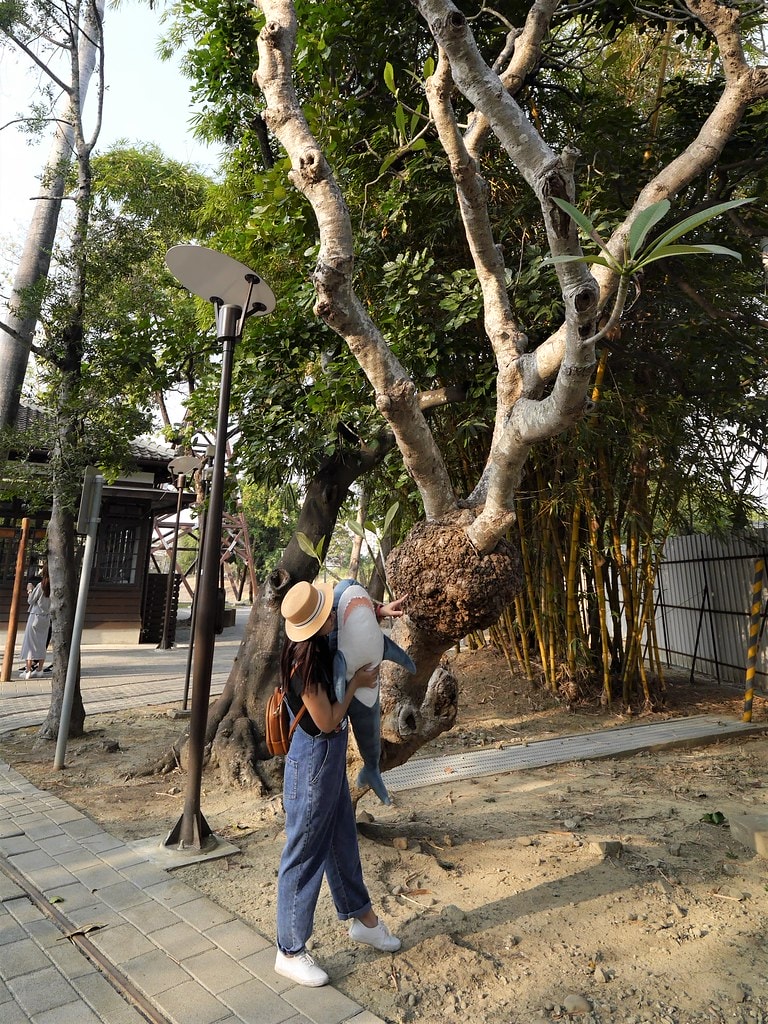 嘉義熱門IG打卡景點-昭和J18/嘉義史蹟資料館,嘉義製材所