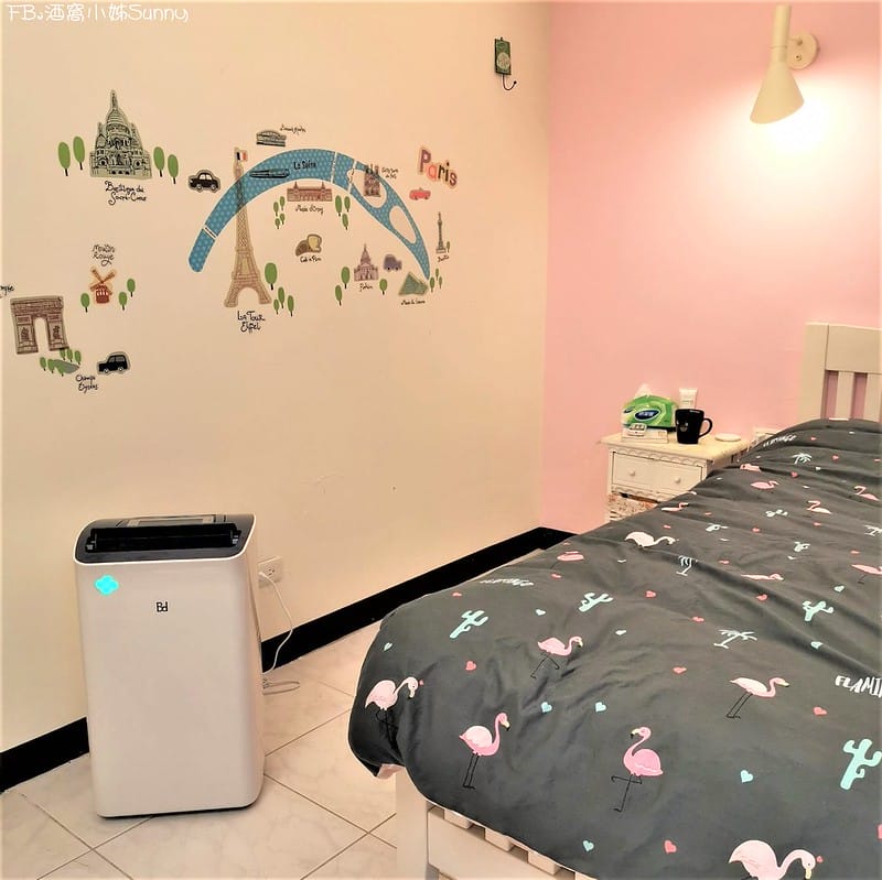 清淨除溼機開箱推薦｜BD冰點-節能清淨除溼機