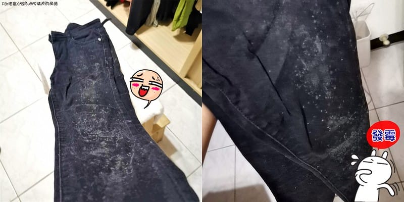 清淨除溼機開箱推薦｜BD冰點-節能清淨除溼機