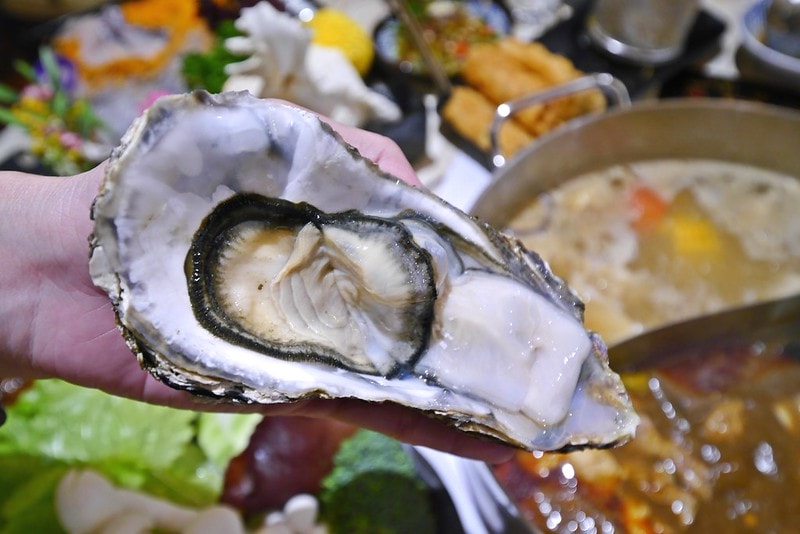 嘉義火鍋洪昌麻辣鴛鴦火鍋