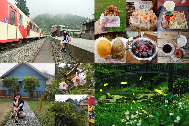 2019奮起湖景點/美食/一日遊/二日遊/嘉義賞螢秘境