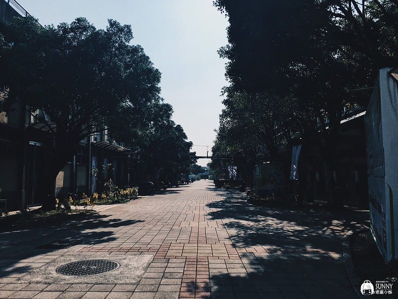 國王蝴蝶_200210_0015