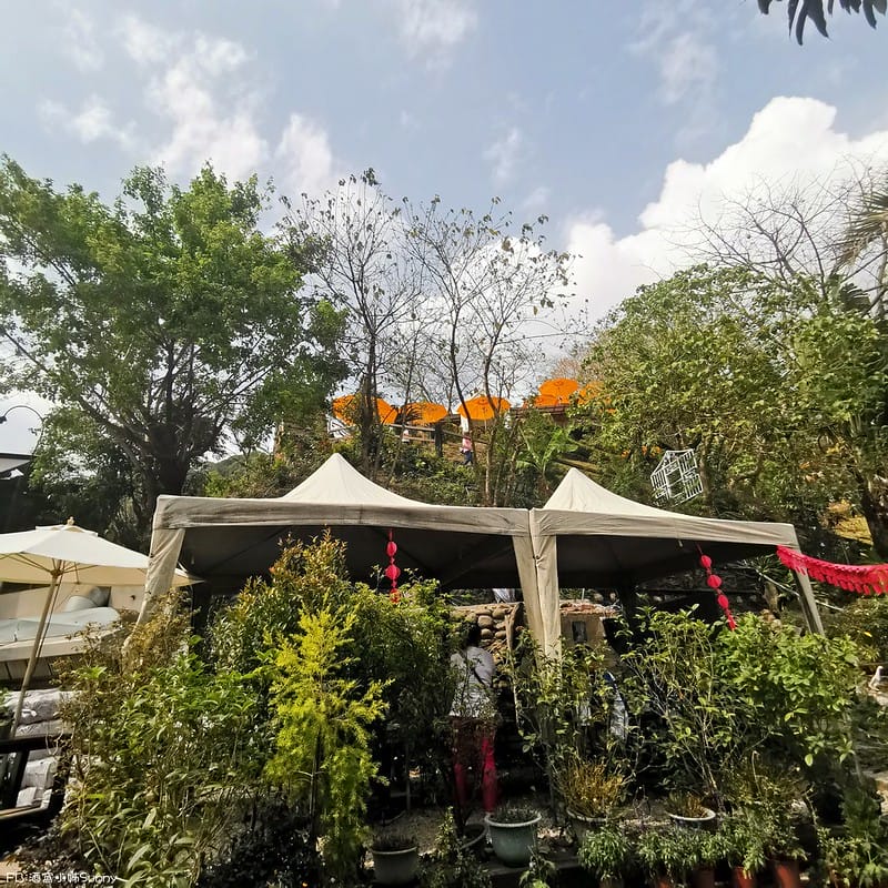 屏東居高風味景觀餐廳-景點美食 特色料理 創意手工 (推薦人氣必吃)