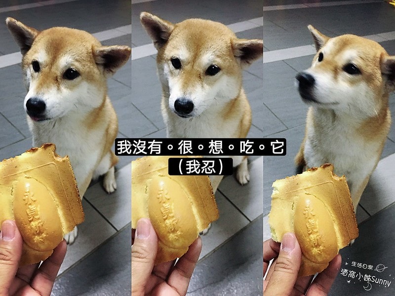 永貞新村雞蛋糕