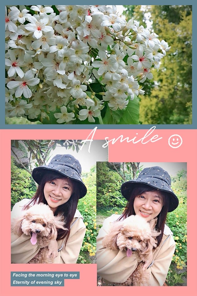 圓林仔幸福山丘/嘉義賞桐勝地-幸福山丘HappyHill