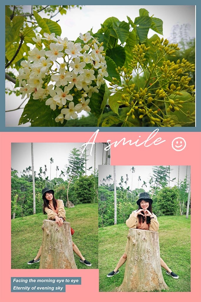 圓林仔幸福山丘/嘉義賞桐勝地-幸福山丘HappyHill