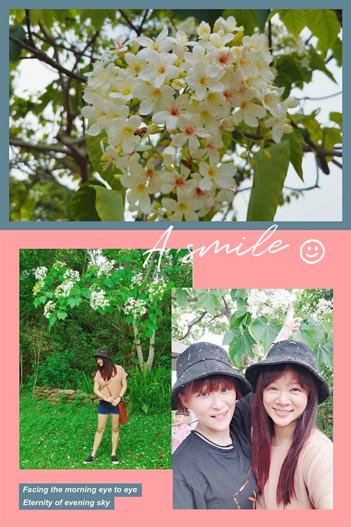 圓林仔幸福山丘/嘉義賞桐勝地-幸福山丘HappyHill