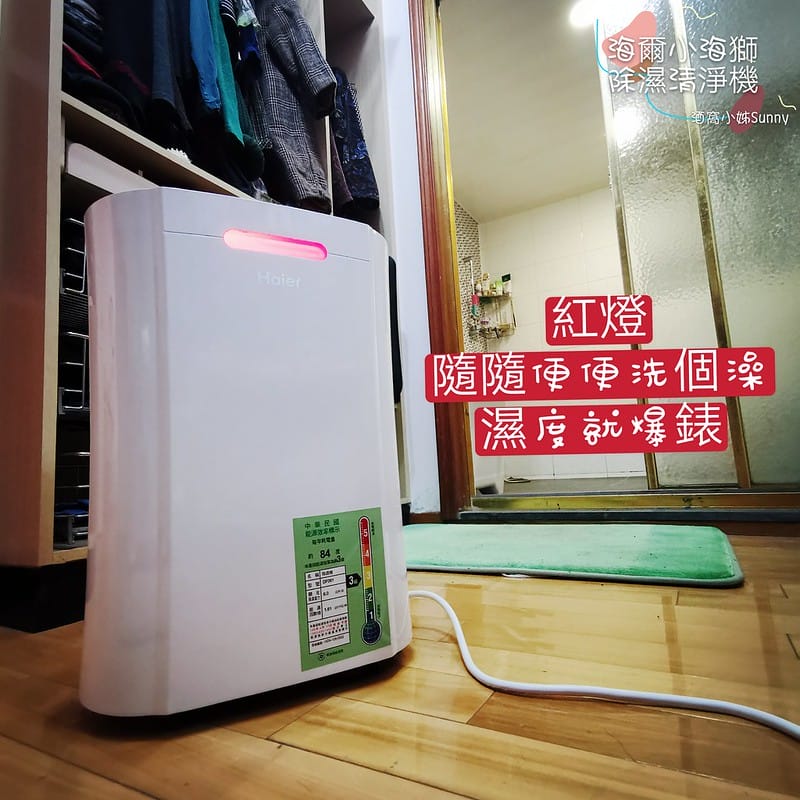 萬元以下清淨除濕機推薦｜海爾小海獅 DF061