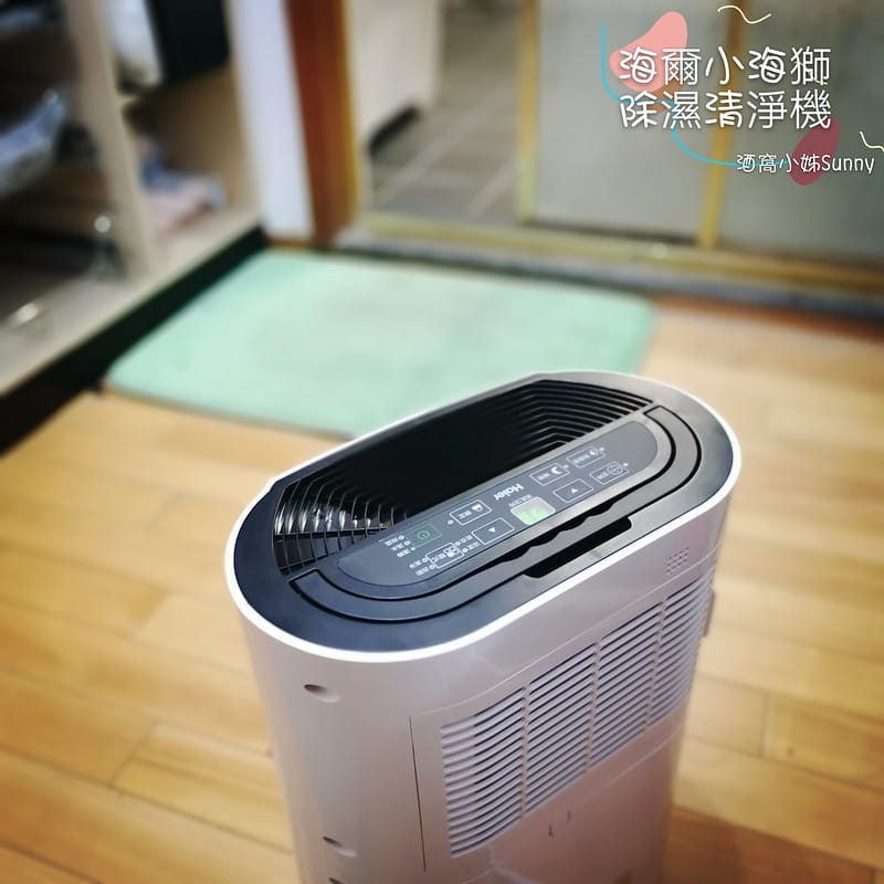 萬元以下清淨除濕機推薦｜海爾小海獅 DF061