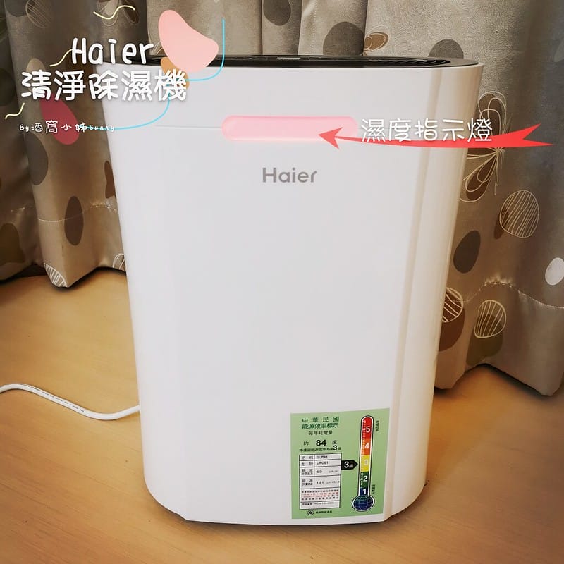 萬元以下清淨除濕機推薦｜海爾小海獅 DF061