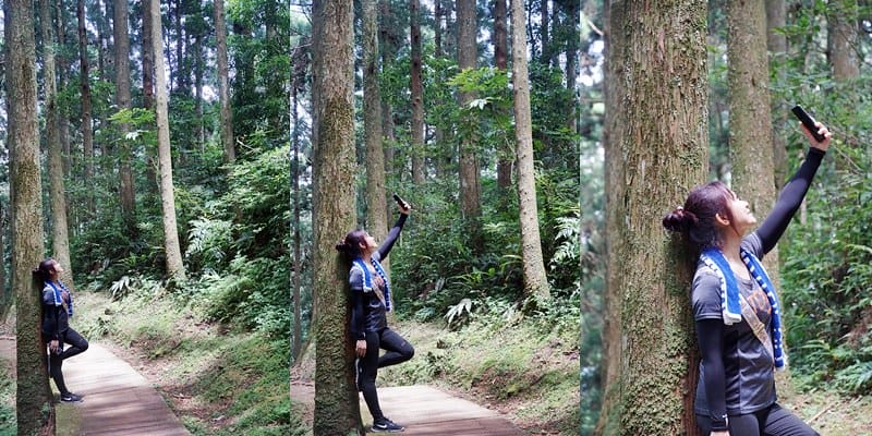 桃園小百岳｜東眼山森林遊樂區/東眼山步道