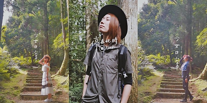 桃園小百岳｜東眼山森林遊樂區/東眼山步道