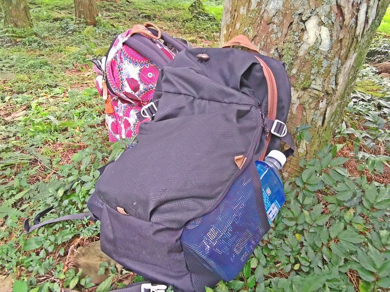 桃園小百岳｜東眼山森林遊樂區/東眼山步道